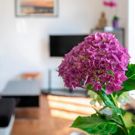 بيت للعطل 2 Bedroom Stunning In *